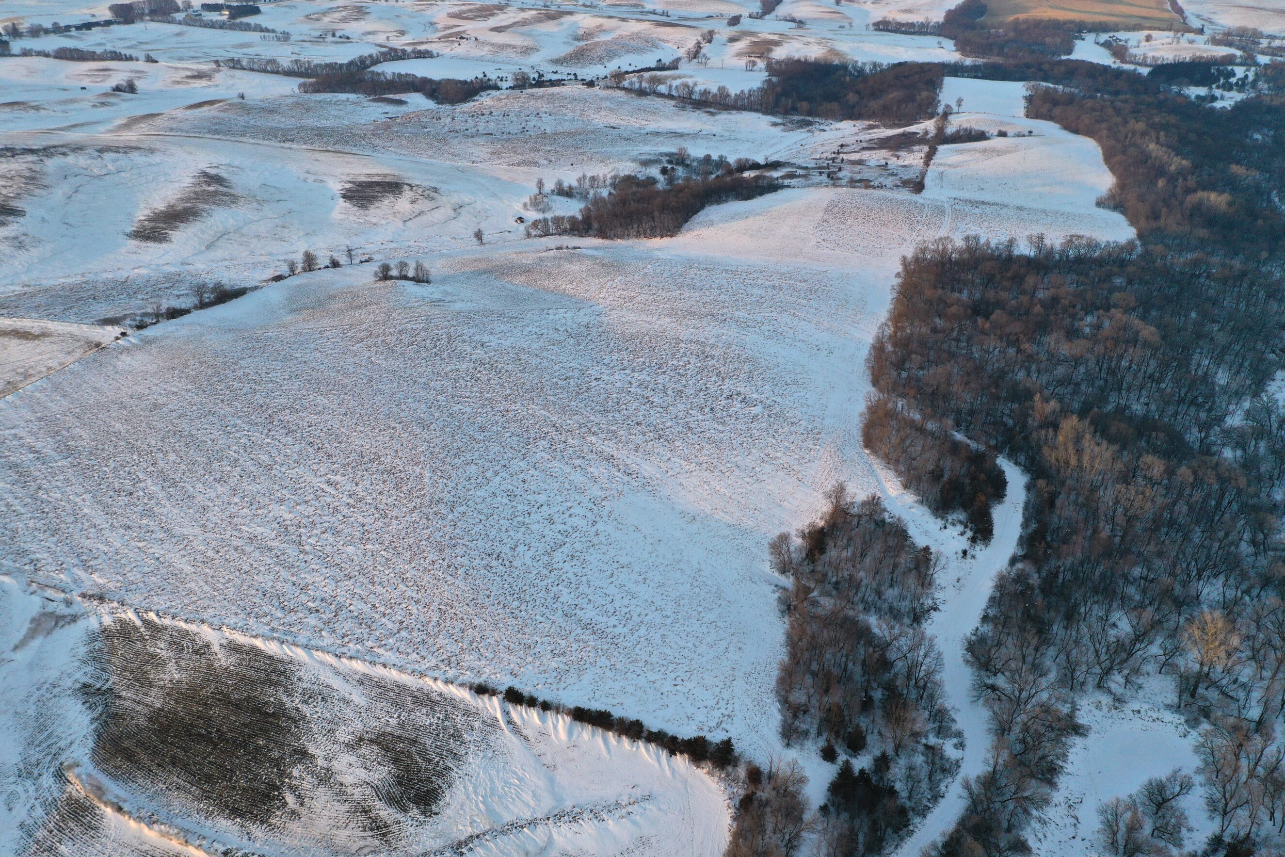 Farms Montgomery Realty and Auction Plainview, MN